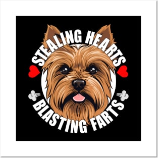 Funny Australian Terrier Stealing Hearts Blasting Farts Dog Cute Puppy Posters and Art